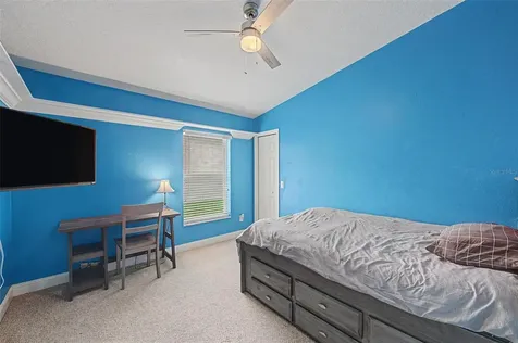 2141 Flameflower Court Trinity FL 34655