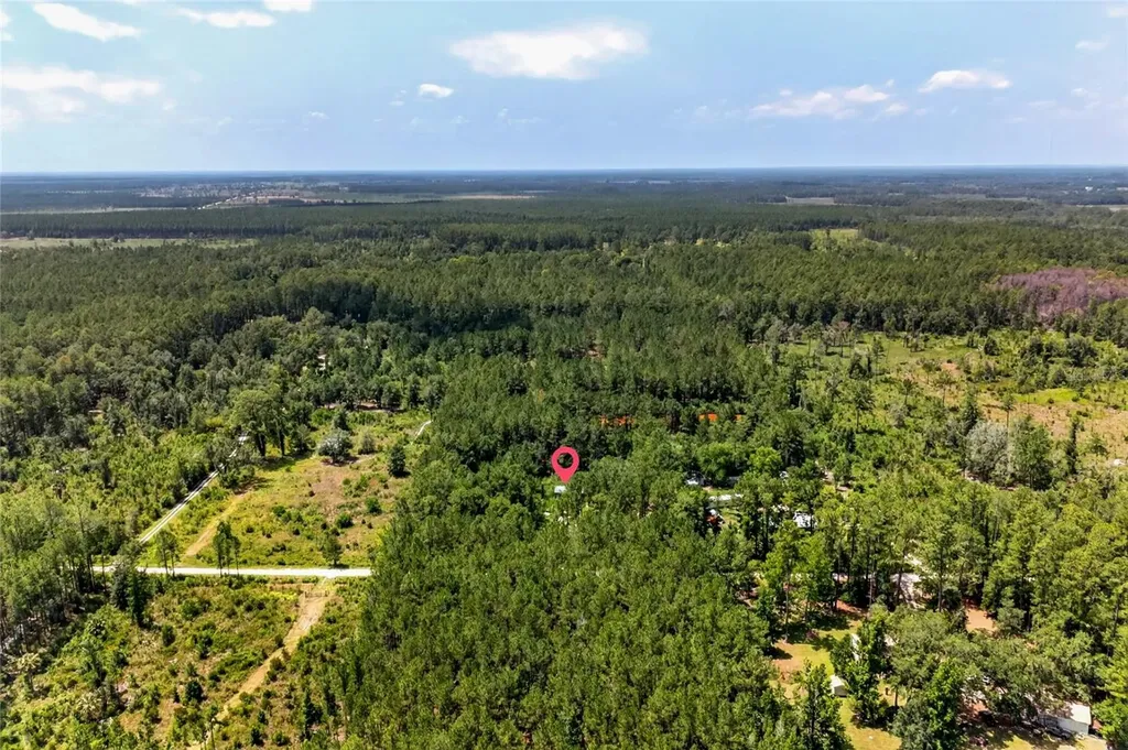 7320 NE 137th Place Citra FL 32113