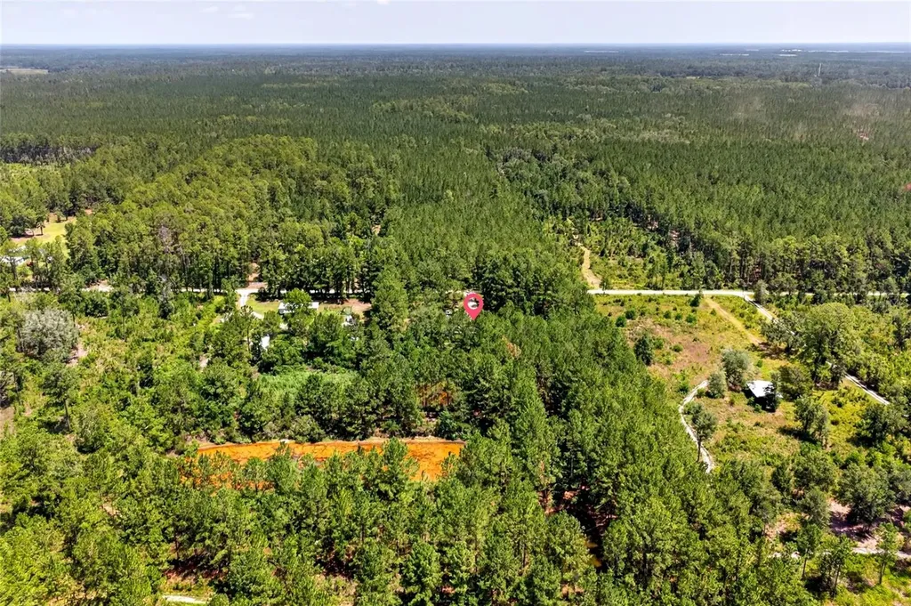 7320 NE 137th Place Citra FL 32113