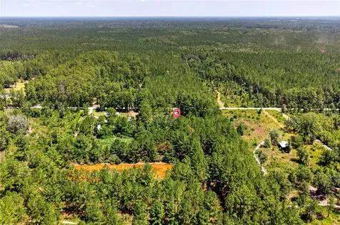 7320 NE 137th Place Citra FL 32113