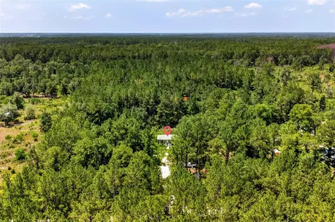 7320 NE 137th Place Citra FL 32113