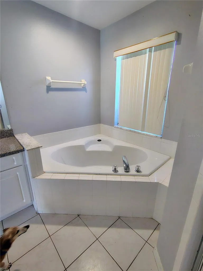 3248 Sawgrass Creek Circle St Cloud FL 34772