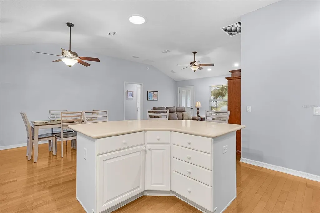 649 Ravenel Court The Villages FL 32162