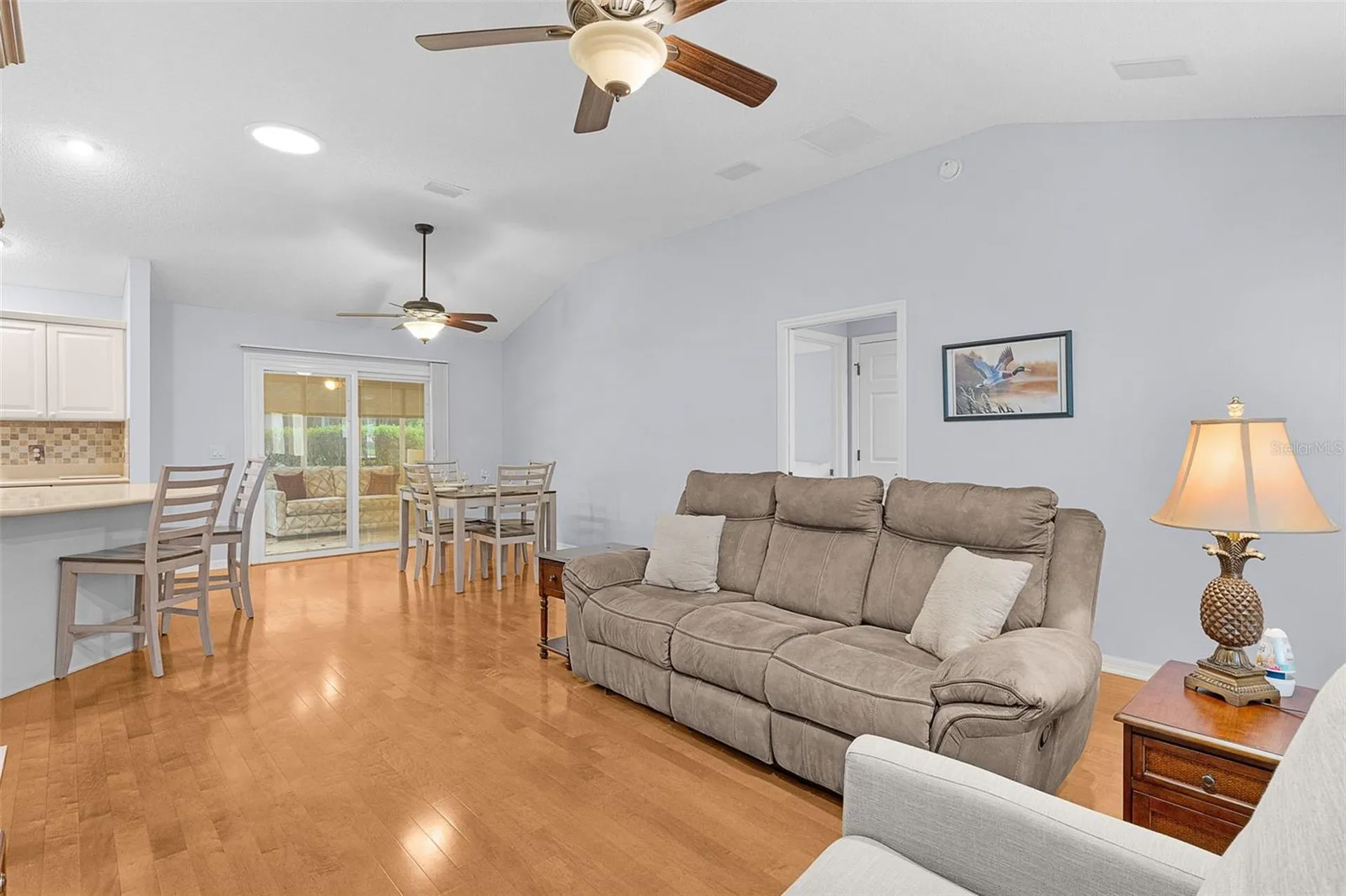 649 Ravenel Court The Villages FL 32162