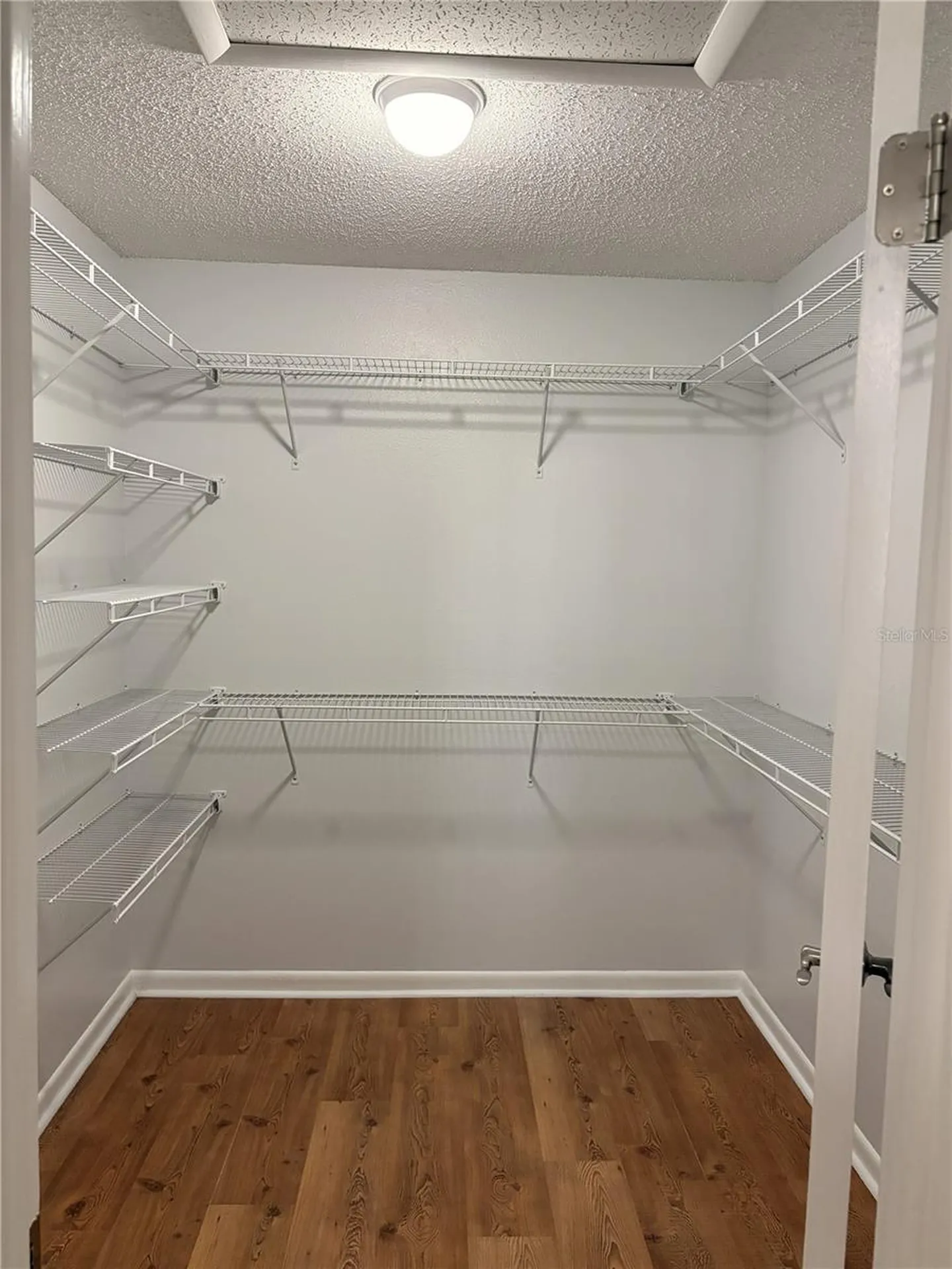 4015 Ashford Green Place Tampa FL 33613