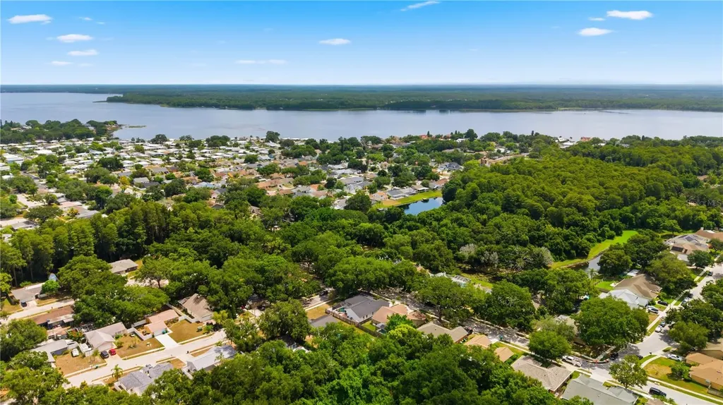 3040 Windridge Oaks Drive Palm Harbor FL 34684