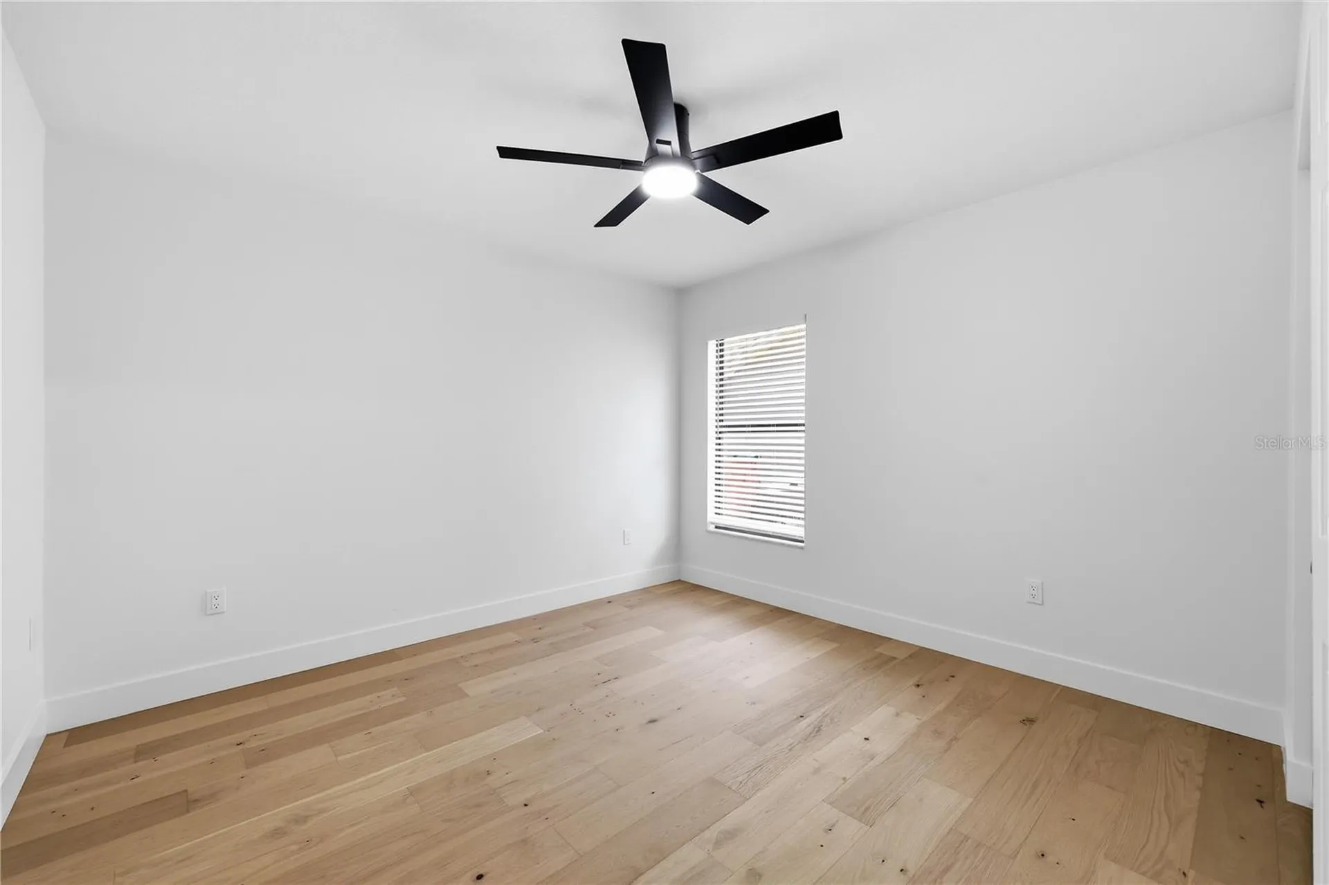 3040 Windridge Oaks Drive Palm Harbor FL 34684