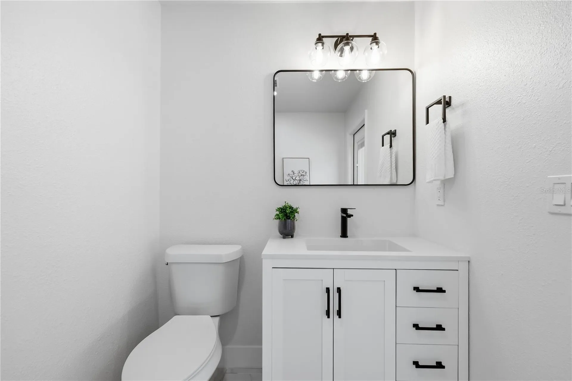 3040 Windridge Oaks Drive Palm Harbor FL 34684