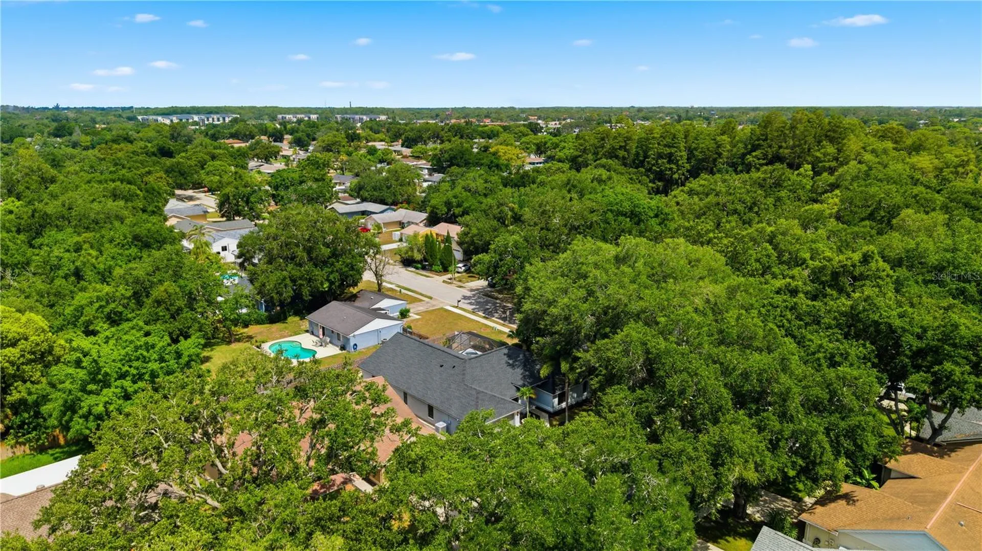 3040 Windridge Oaks Drive Palm Harbor FL 34684