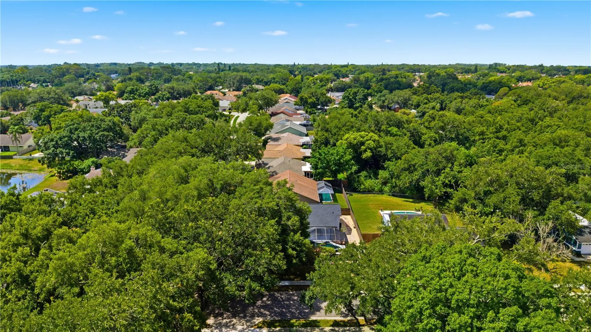 3040 Windridge Oaks Drive Palm Harbor FL 34684