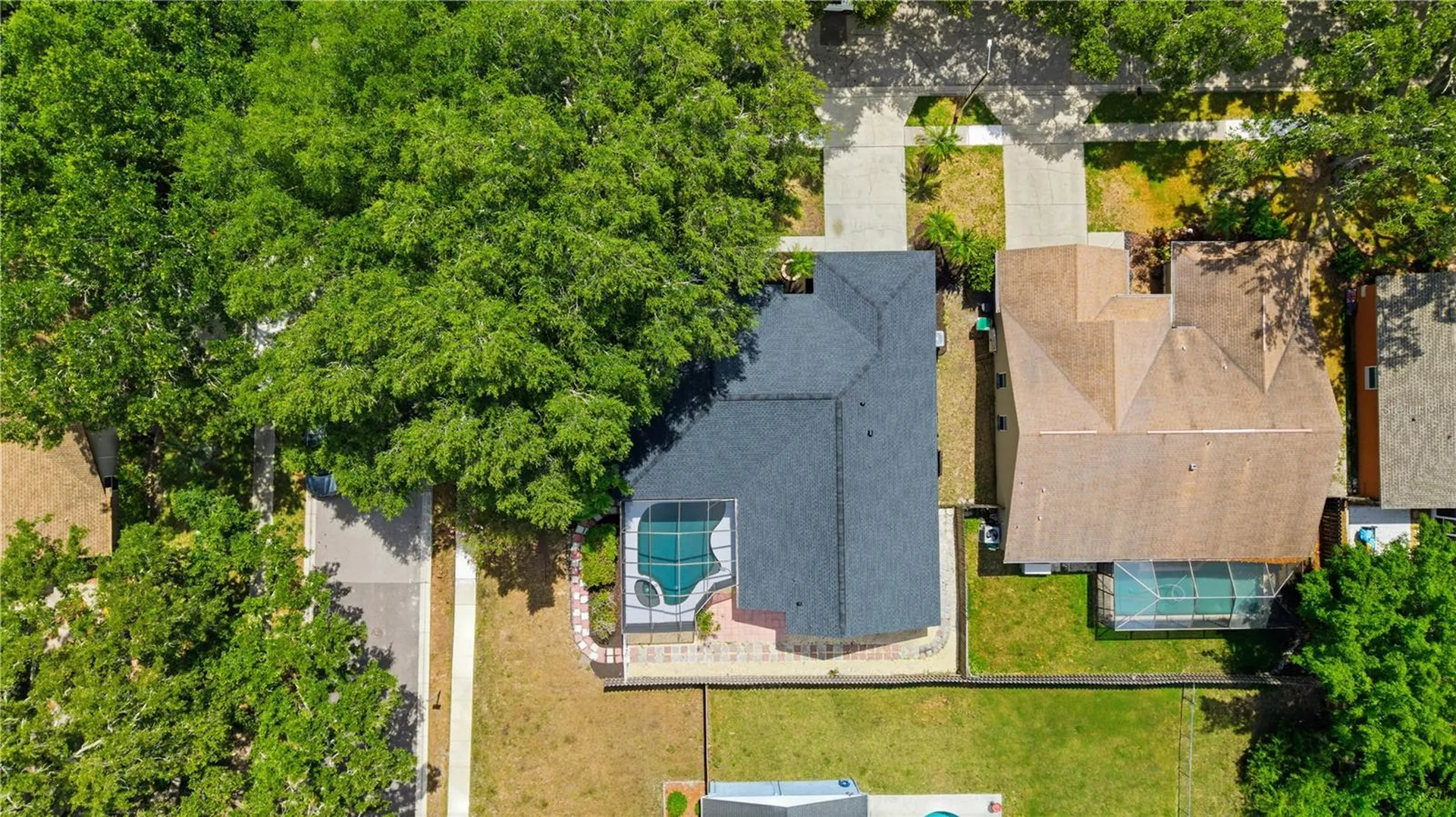 3040 Windridge Oaks Drive Palm Harbor FL 34684