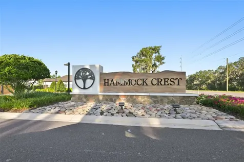 11481 Owasee Trails Place Riverview FL 33569