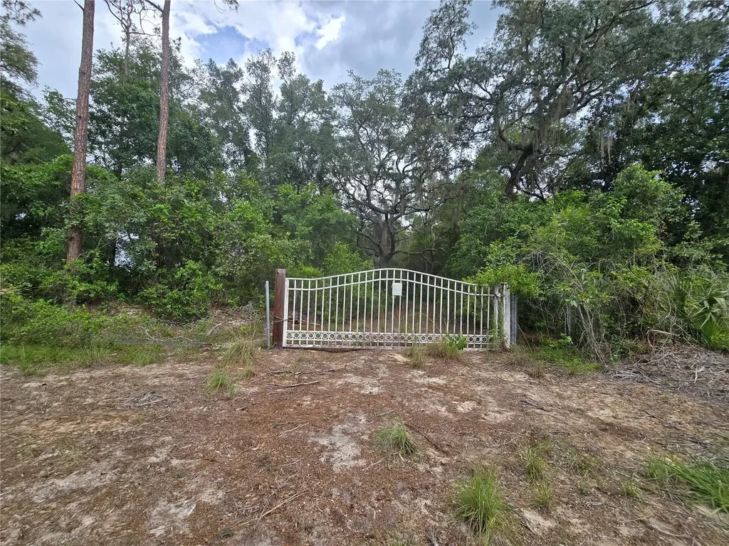 18545 SE 115th Street Ocklawaha FL 32179