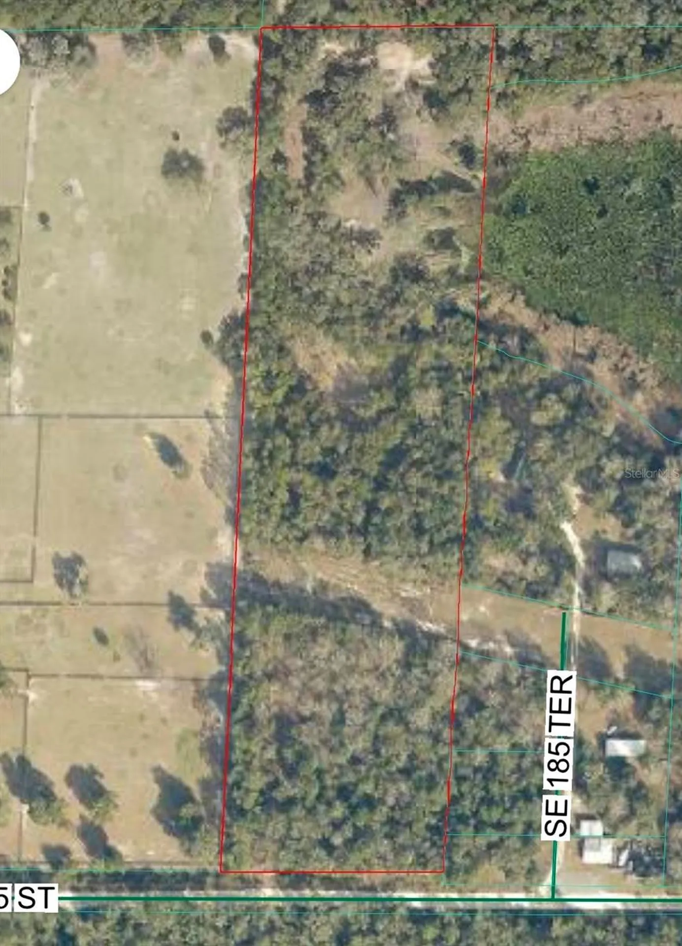 18545 SE 115th Street Ocklawaha FL 32179