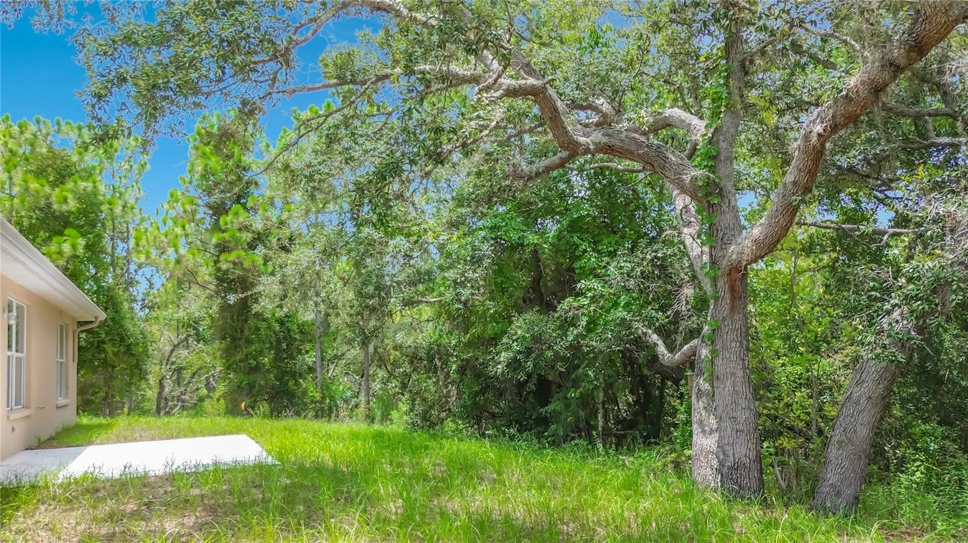 213 Linder Drive Homosassa FL 34446