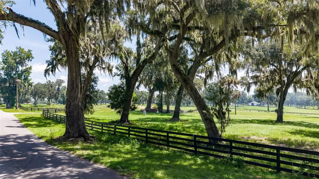 15479 SE 57th Terrace Summerfield FL 34491