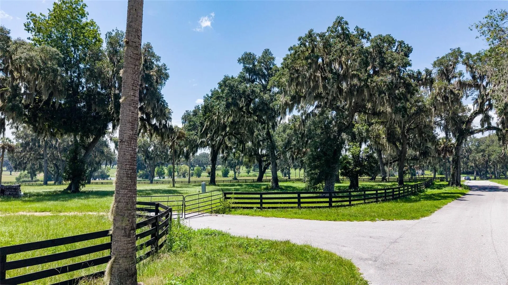 15479 SE 57th Terrace Summerfield FL 34491