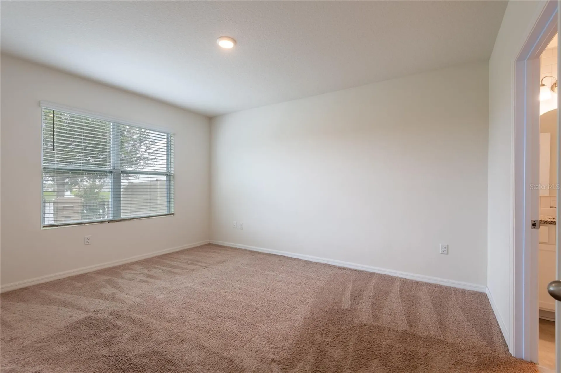 2433 White Poppy Drive Kissimmee FL 34747