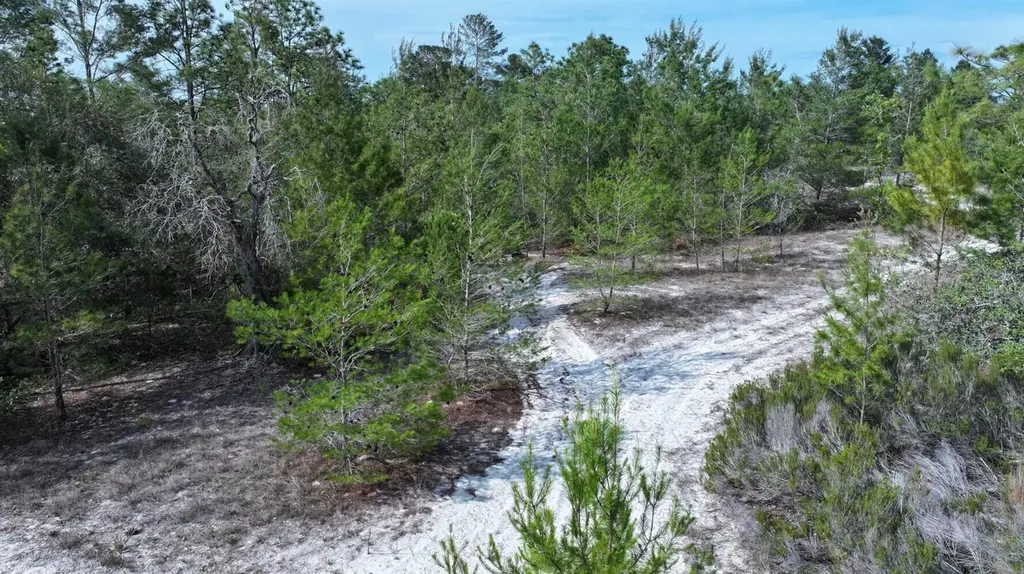 11488 Seely Lane Brooksville FL 34613