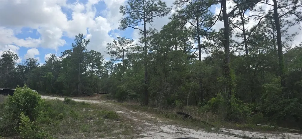11488 Seely Lane Brooksville FL 34613