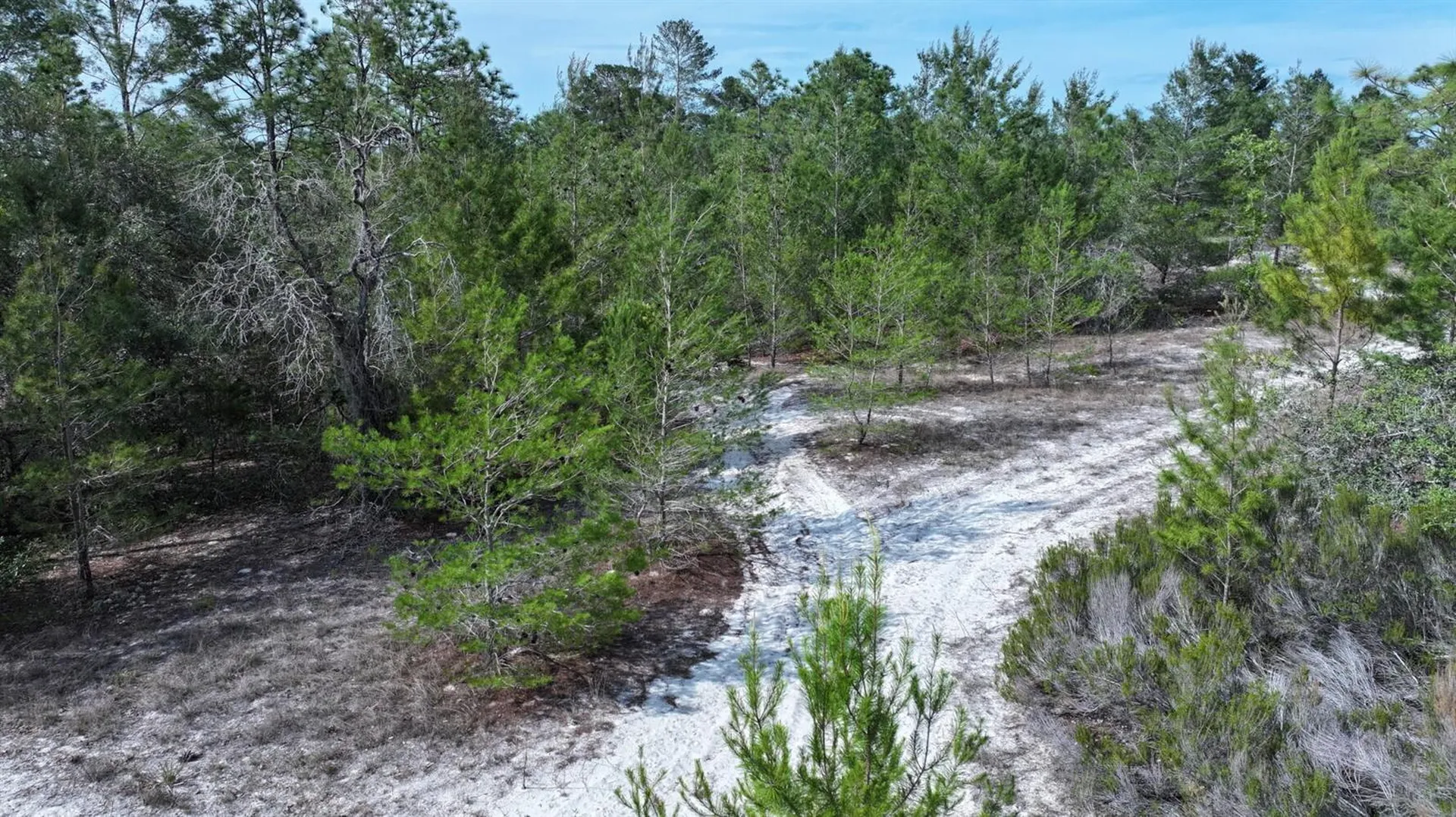 11488 Seely Lane Brooksville FL 34613