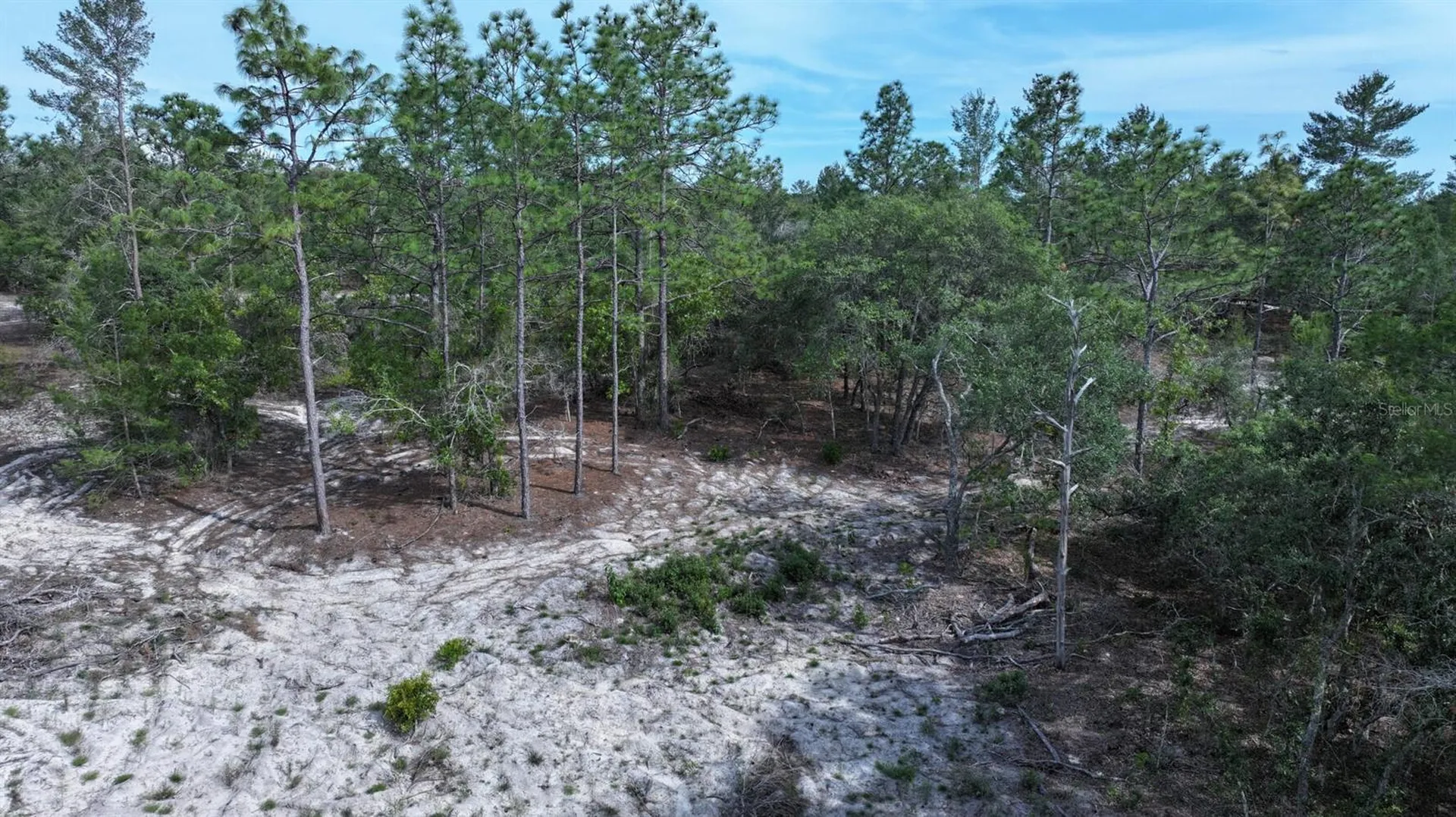 11488 Seely Lane Brooksville FL 34613