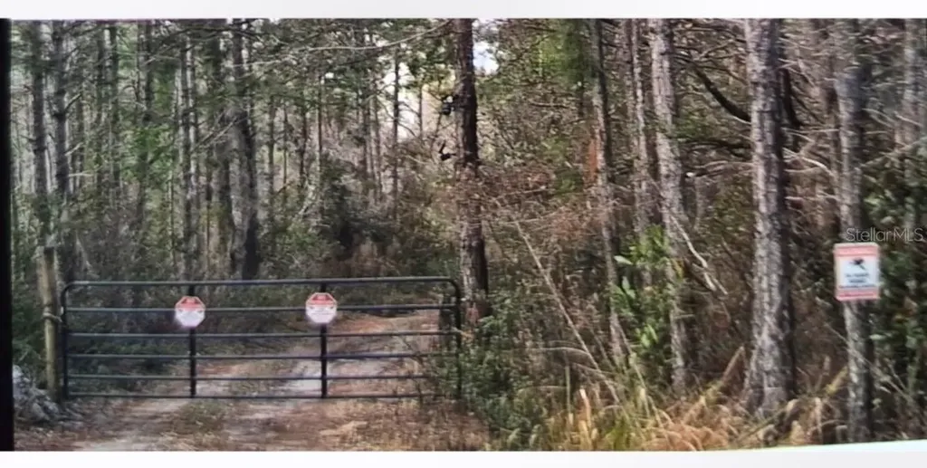 3450 Salyers Road Clermont FL 34714