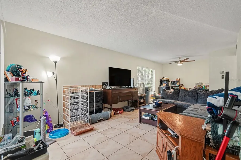 14203 Shadow Moss Lane Tampa FL 33613