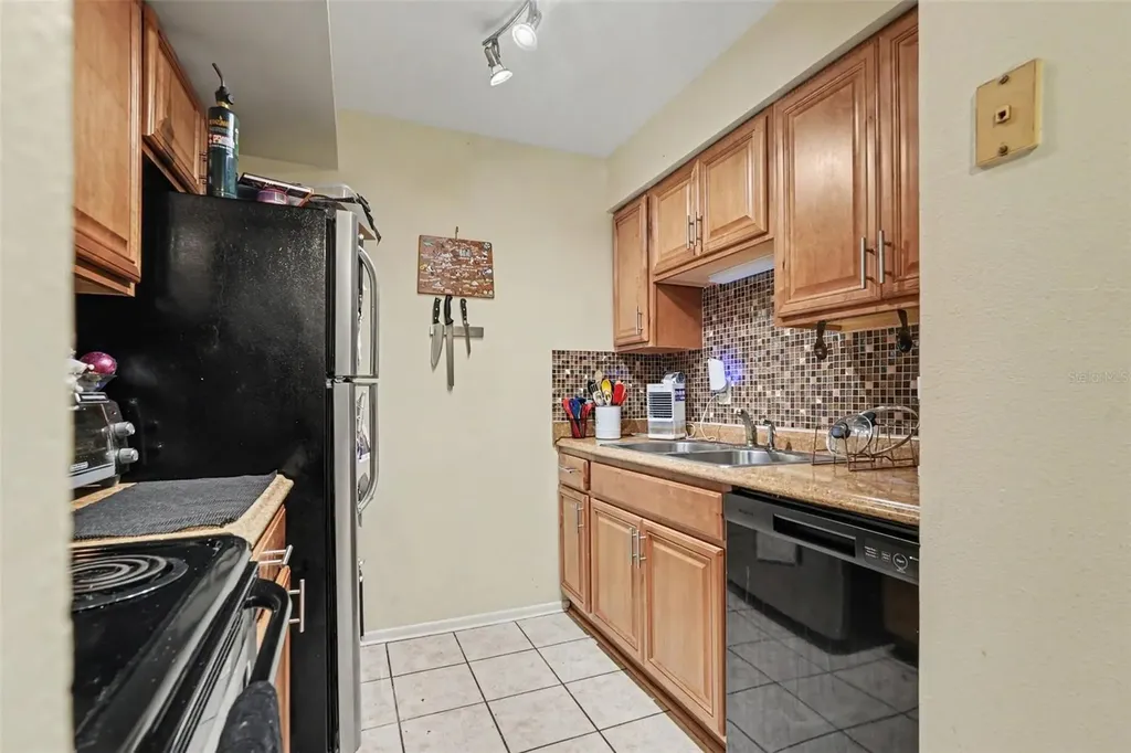 14203 Shadow Moss Lane Tampa FL 33613