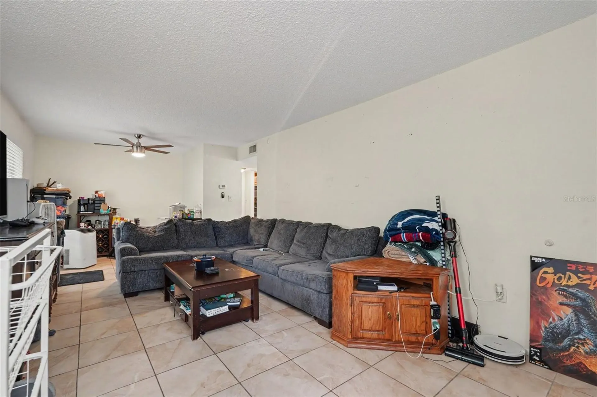 14203 Shadow Moss Lane Tampa FL 33613