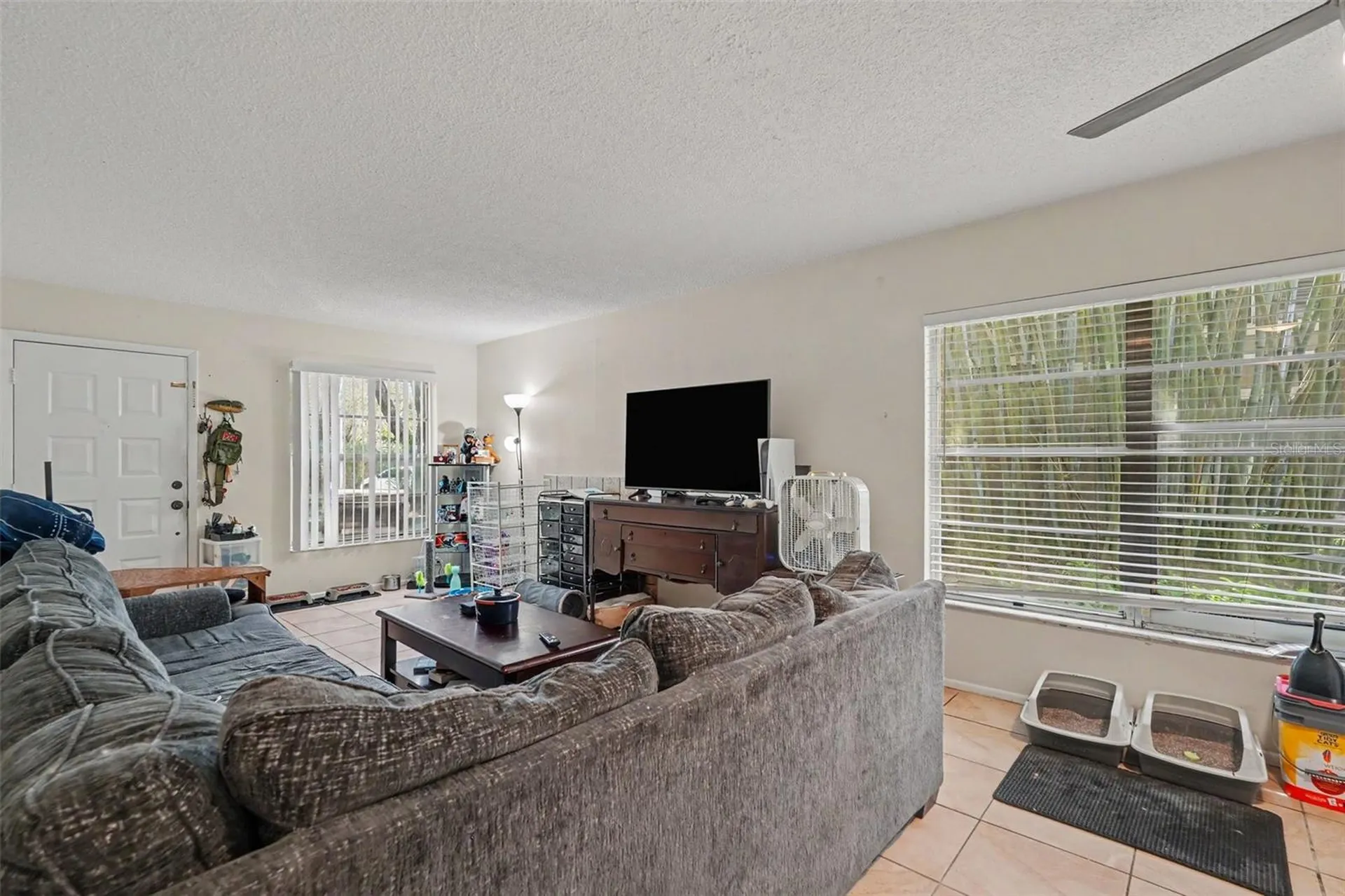 14203 Shadow Moss Lane Tampa FL 33613