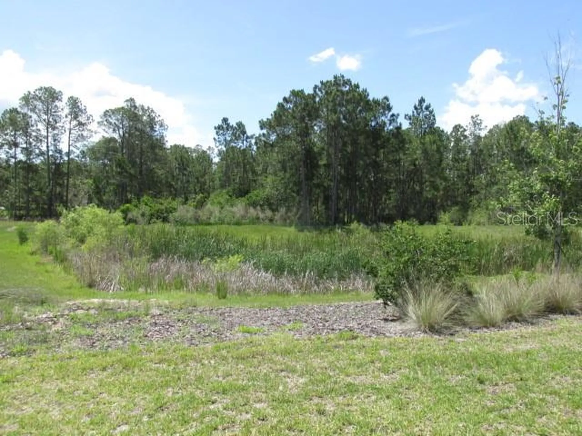 1275 Butterfly Orchid Road Davenport FL 33837