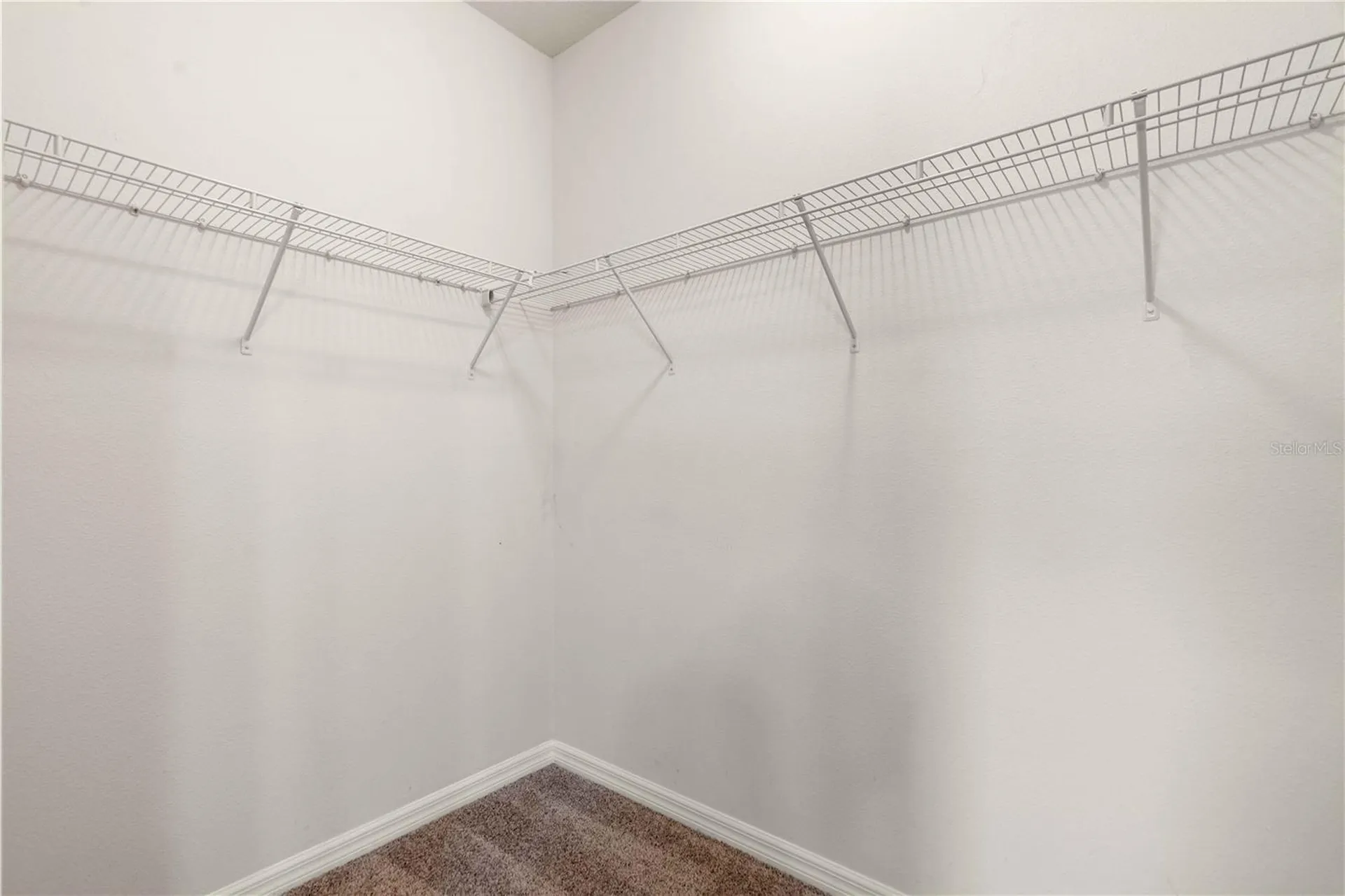 1100 Coral Lane Dunedin FL 34698