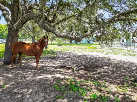 6570 Water Tank Road E Haines City FL 33844