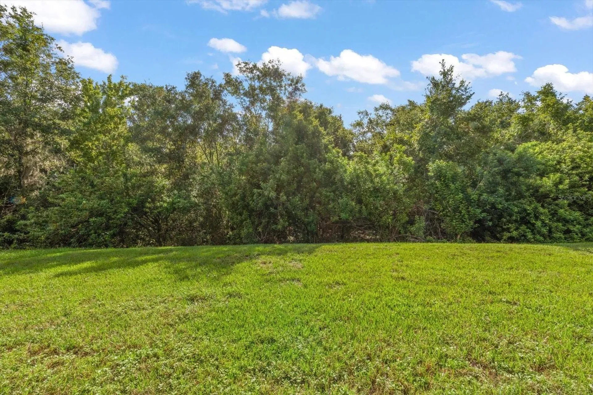 4422 Havelocke Drive Land O Lakes FL 34638