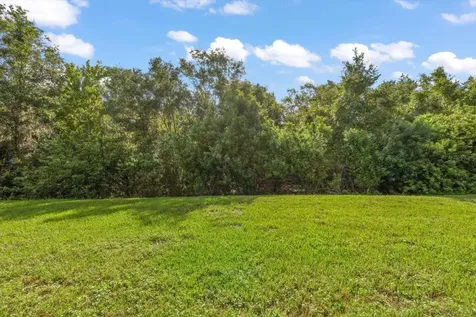 4422 Havelocke Drive Land O Lakes FL 34638