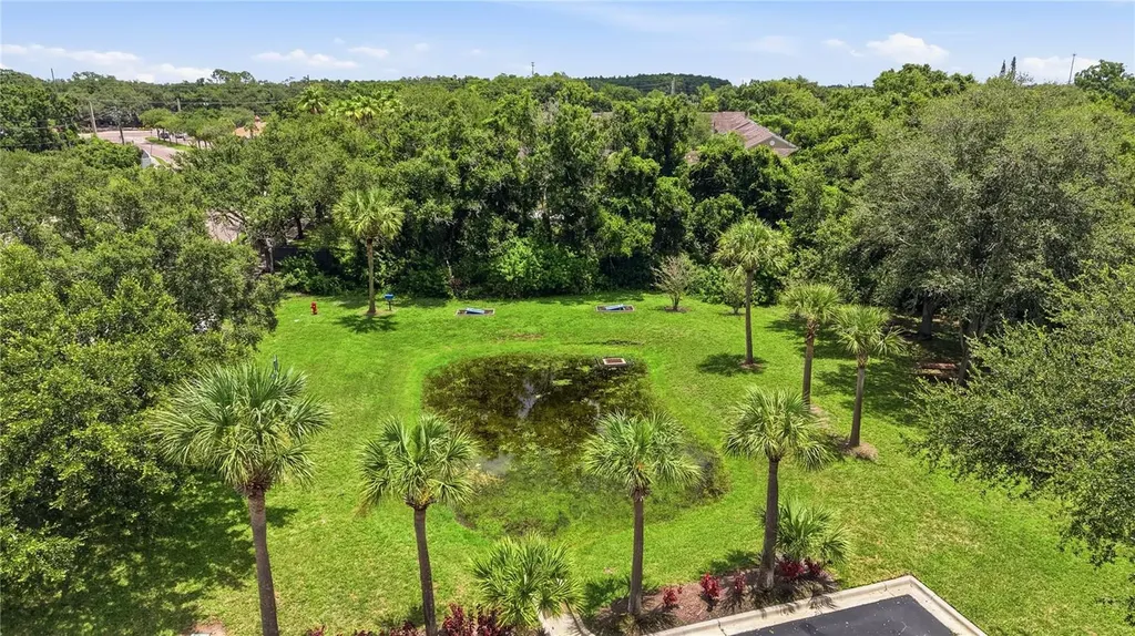 10106 Belleville Place Tampa FL 33624