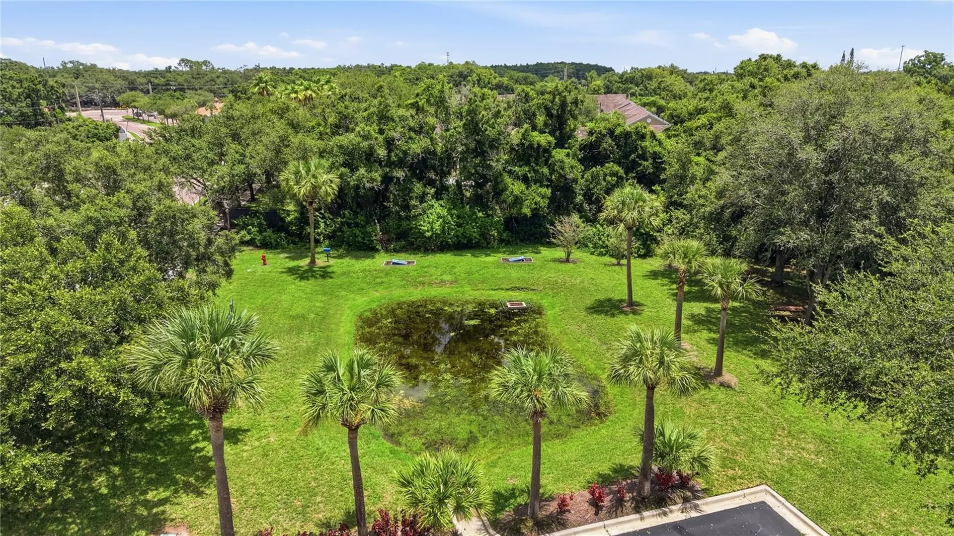 10106 Belleville Place Tampa FL 33624