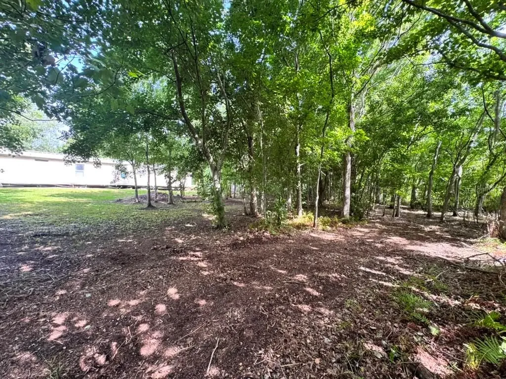 3904 Cork Road Plant City FL 33565