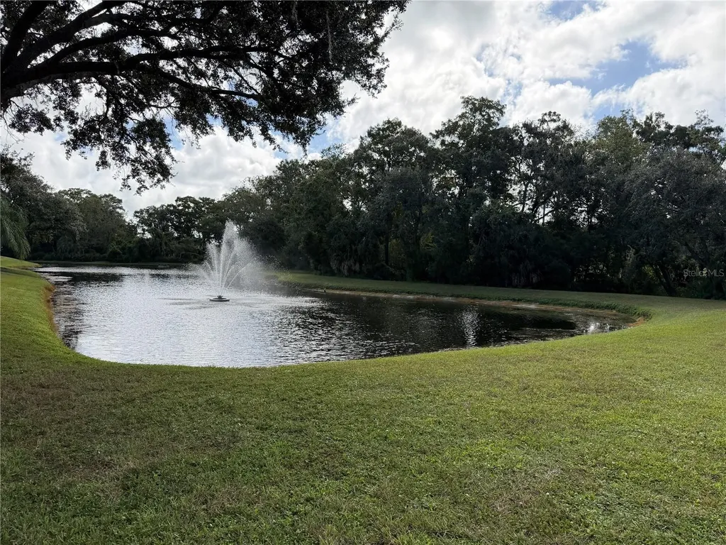 9221 Repondo Place New Port Richey FL 34655