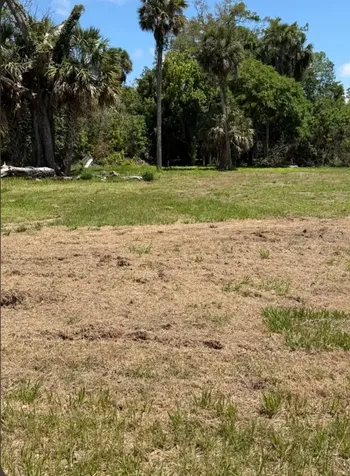 535 Oak Street Daytona Beach FL 32114
