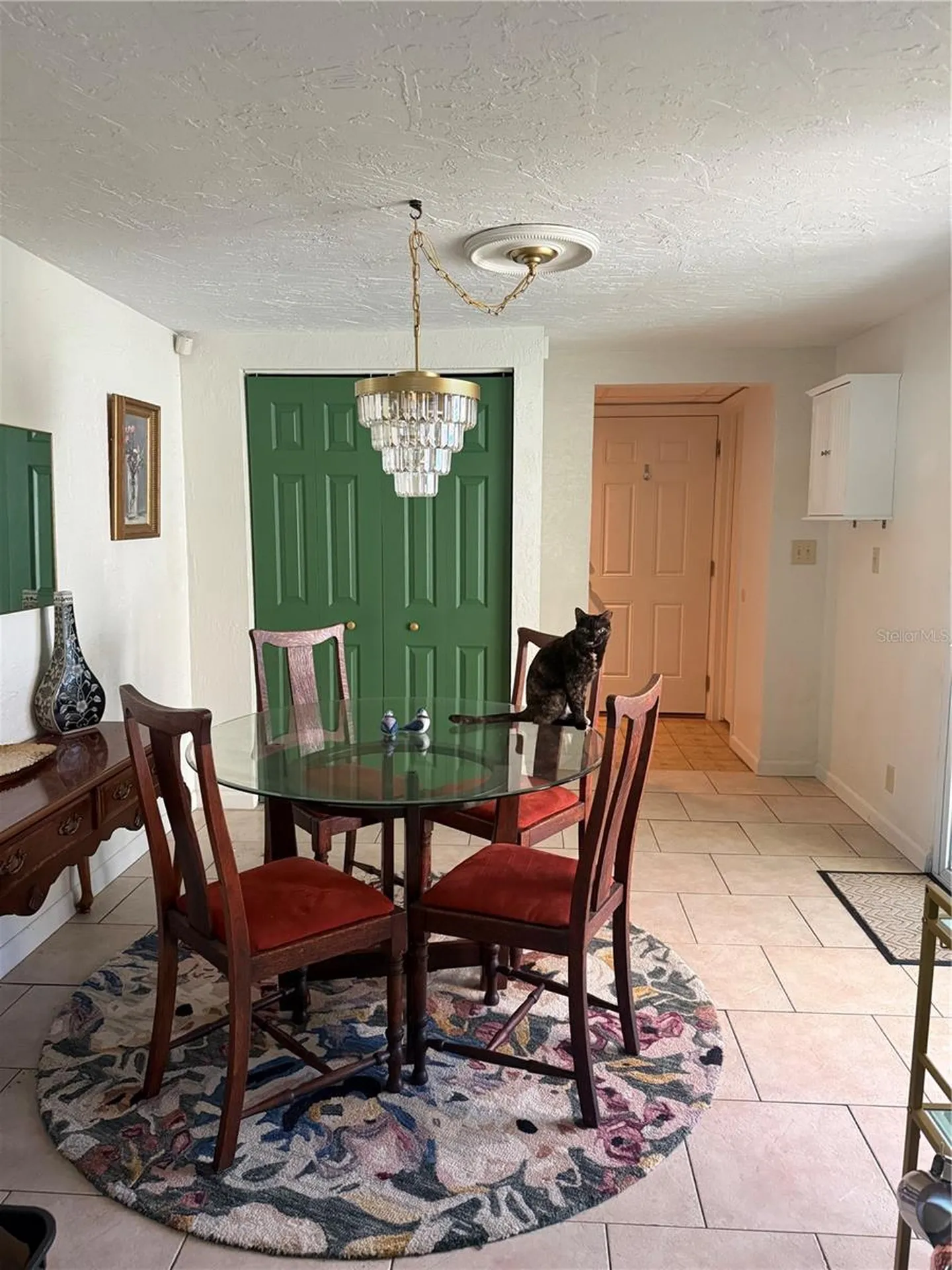 145 NE Lincoln Circle N St Petersburg FL 33702