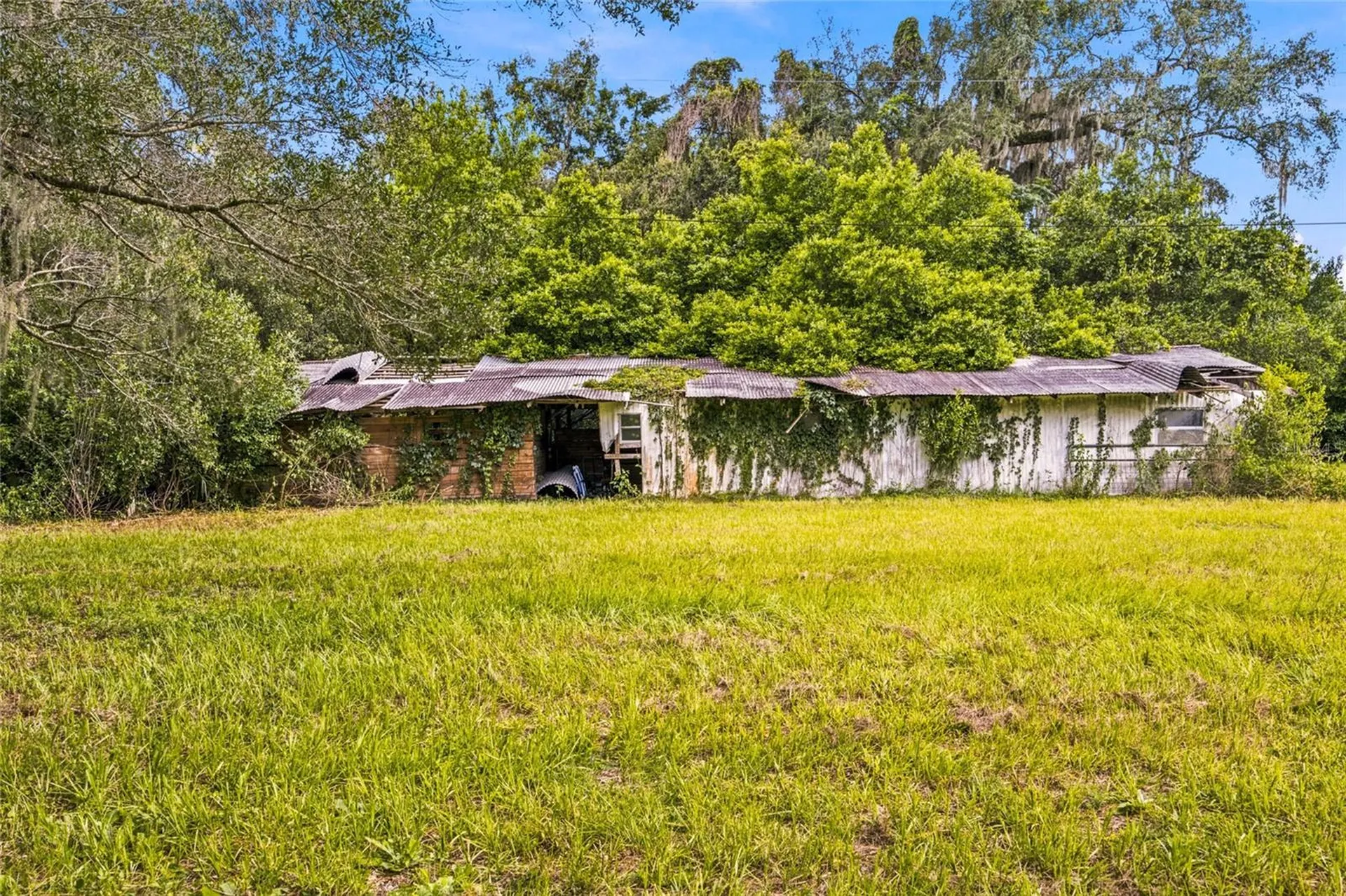5398 SE 141st Street Summerfield FL 34491