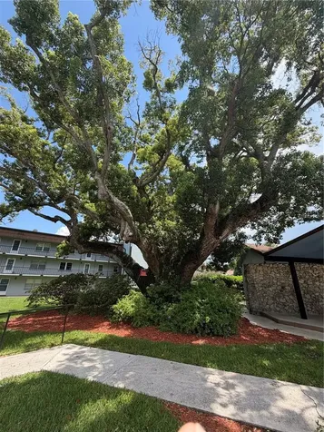 333 Lake Howard Drive NW Winter Haven FL 33880