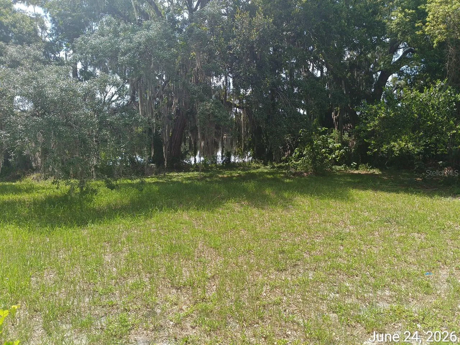 7203 N 41st Street Tampa FL 33604