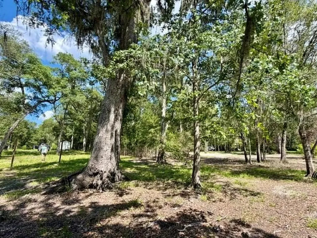 1109 NW 78th Avenue Bell FL 32619