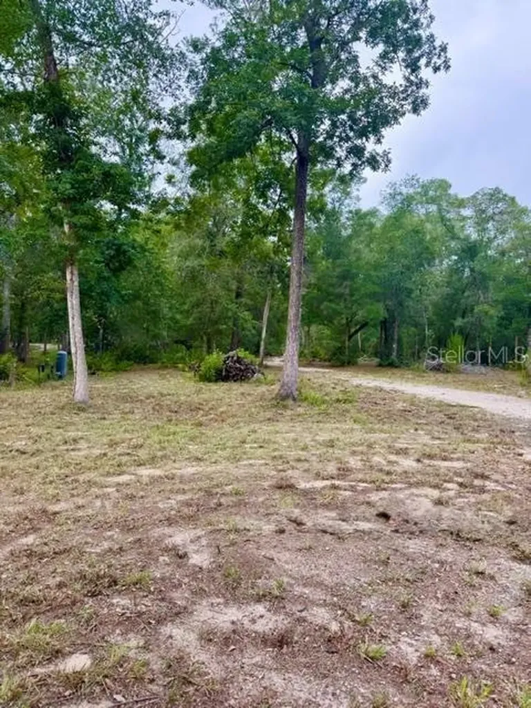 1109 NW 78th Avenue Bell FL 32619