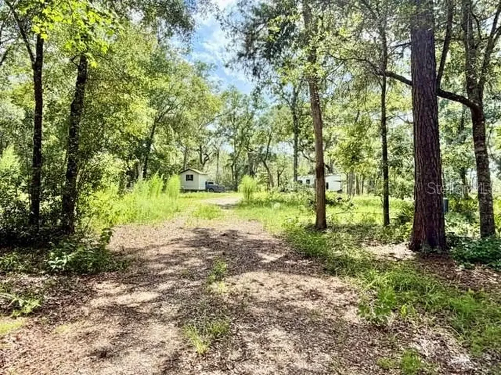 1109 NW 78th Avenue Bell FL 32619