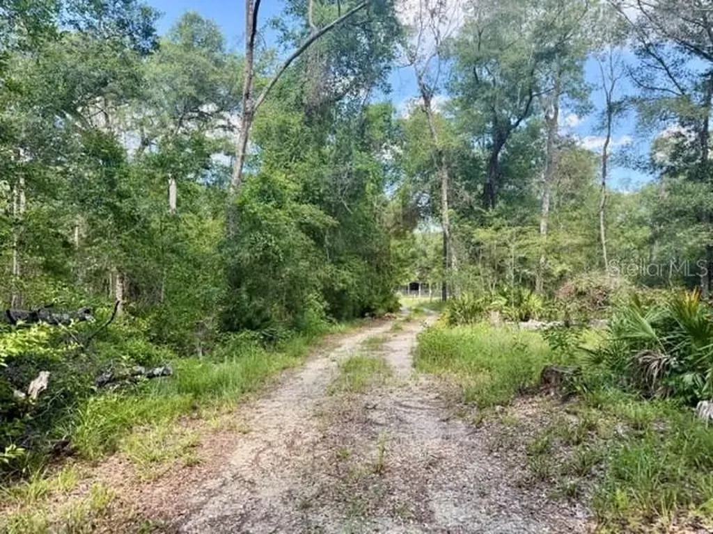 1109 NW 78th Avenue Bell FL 32619