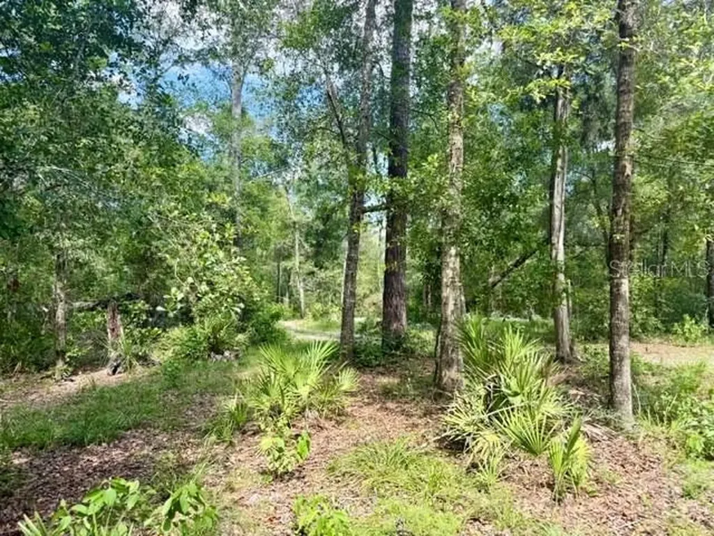 1109 NW 78th Avenue Bell FL 32619